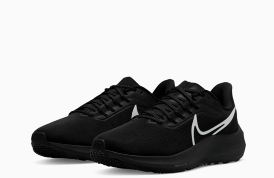 Nike Air Zoom Pegasus 39