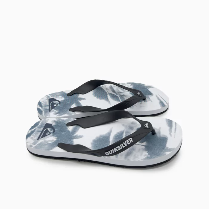 Quiksilver Molokai Art Sandals Quiksilver Molokai Flip Flops Quiksilver Art Sandals Quiksilver Beach Sandals