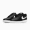 Nike Air Force 1 Low Black Nike Court Vision Low White Nike Dunk Low Black & White