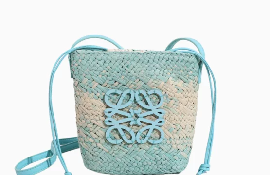 Loewe Baby Blue 2024 one shoulder bag