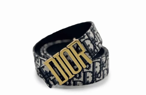 Dior Oblique Canvas and Leather Diorquake Belt